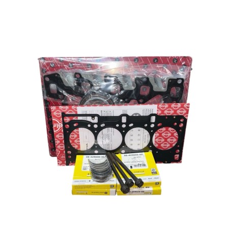 Kit 1.3multijet Fasce GOETZE + Bronzine STD + Guarnizioni + Bulloni In Omaggio